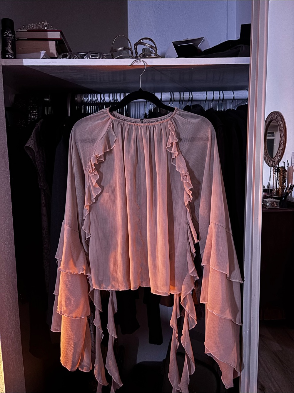 Cider Ruffled Long-Sleeve Blouse - Blush Pink